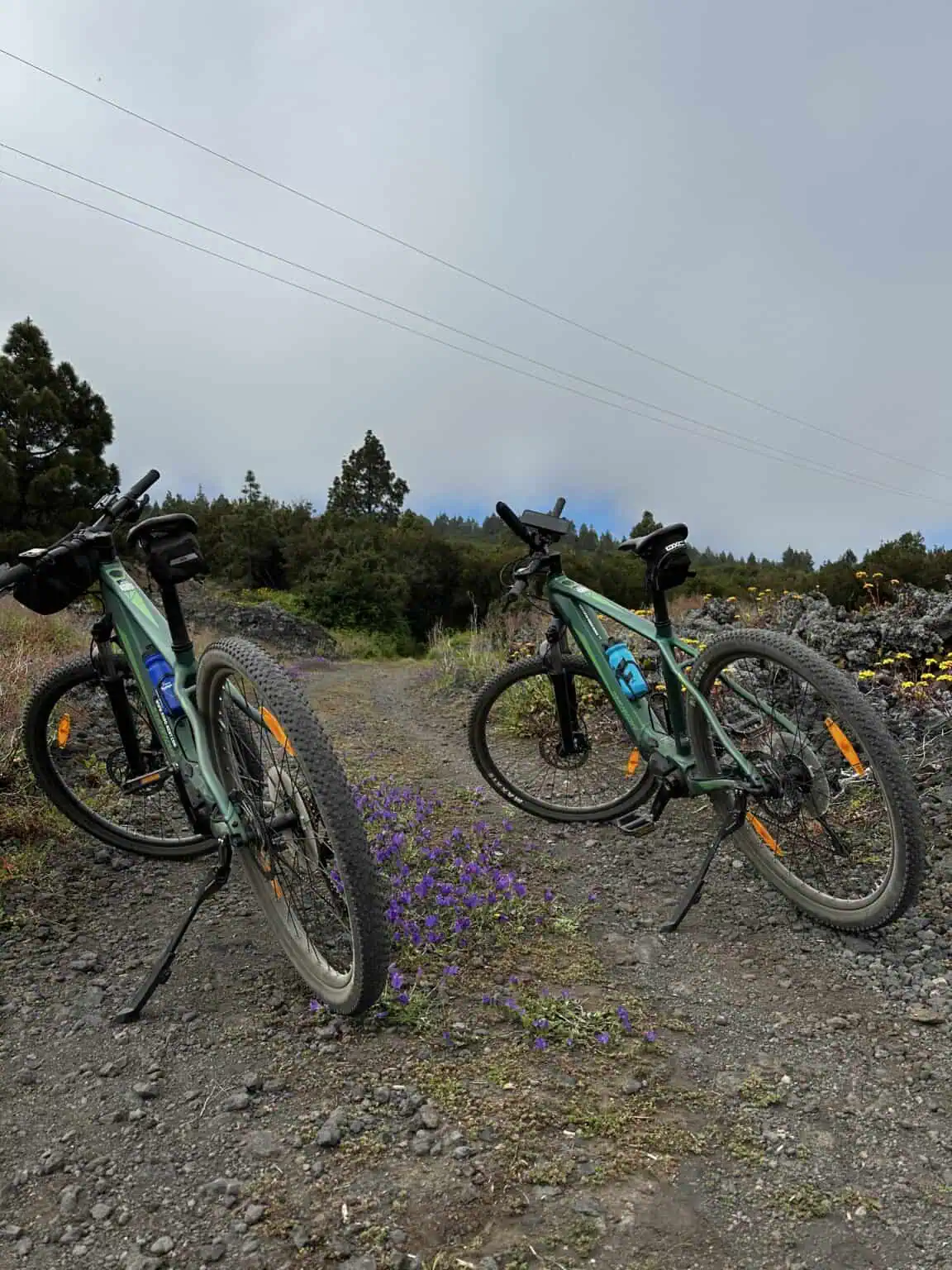 Mountain Bike Routes